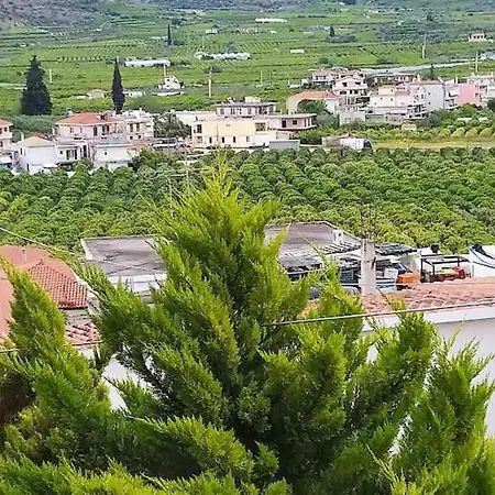 Panoramic View Of * Дрепанон